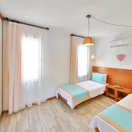 Mare Nostrum カシュ